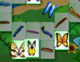 Butterfly Mahjong